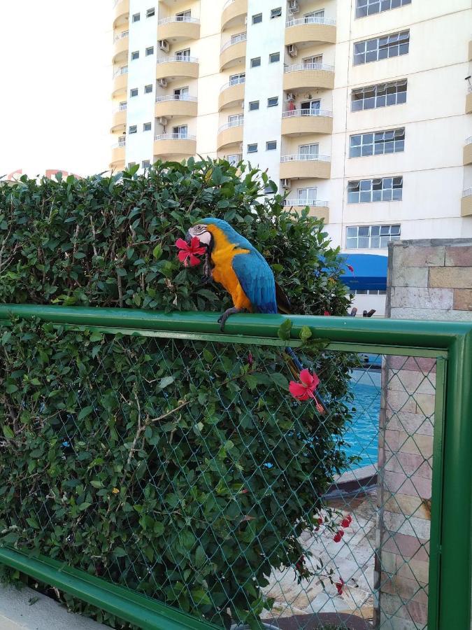 Hidro: Luxo Com 2 Quartos E Bebidas à Beira Da Piscina Apartment *